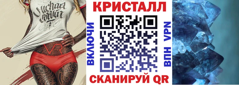 дарнет шоп Опочка АМФ Premium
