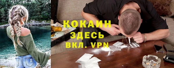 молекула духа Абинск
