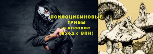 молекула духа Абинск