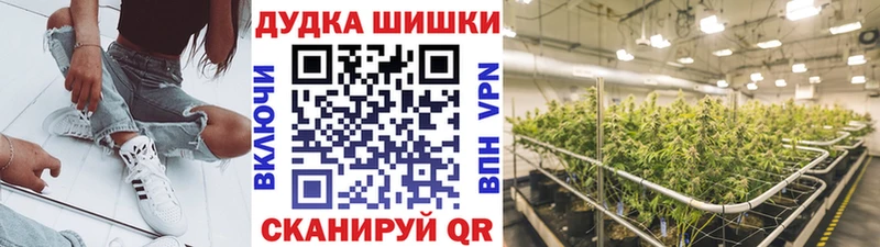 где купить наркоту  Опочка  блэк спрут как зайти  Конопля Amnesia 